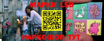 mdpv Бердск