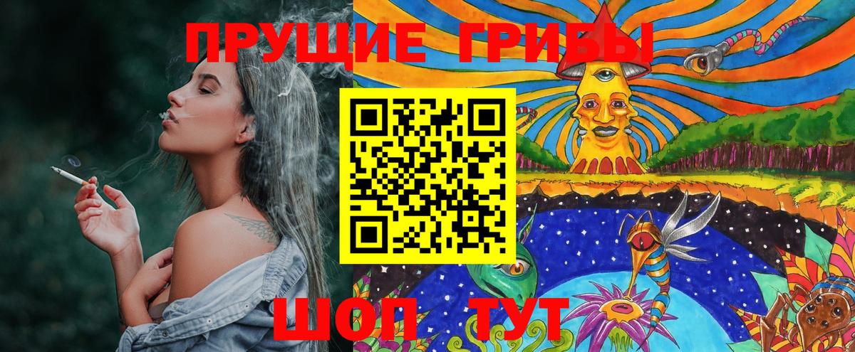 Шебекино  Псилоцибиновые грибы Magic Shrooms  цены наркотик  Псилоцибиновые грибы Cubensis  Вход с VPN 